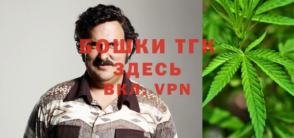 индика Армянск
