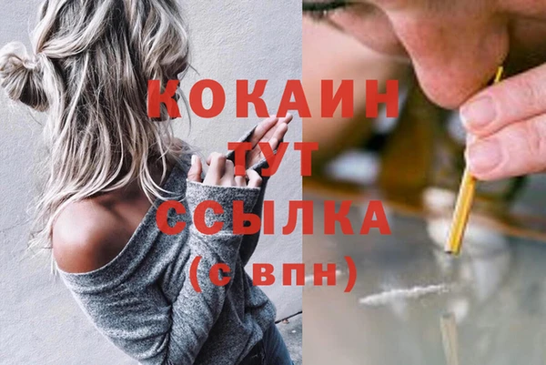 не бодяженный Арсеньев