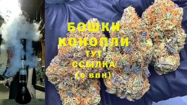 эйфоретик Аркадак