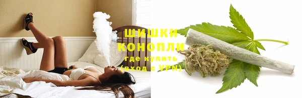 эйфоретик Аркадак