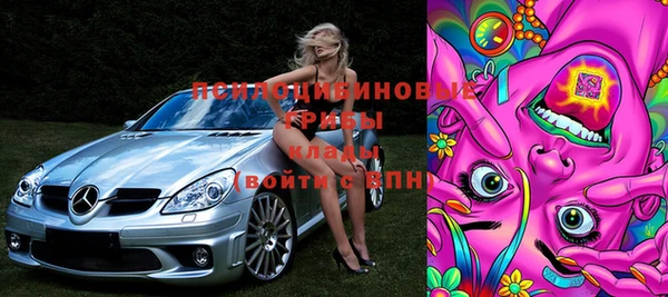 индика Армянск
