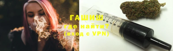 индика Армянск