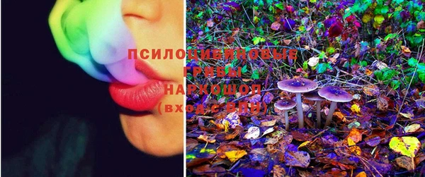 индика Армянск