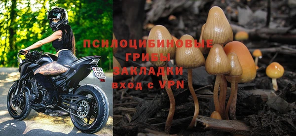 индика Армянск
