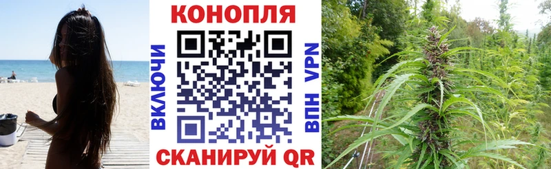 купить   Фролово  мега вход  Бошки Шишки сатива 